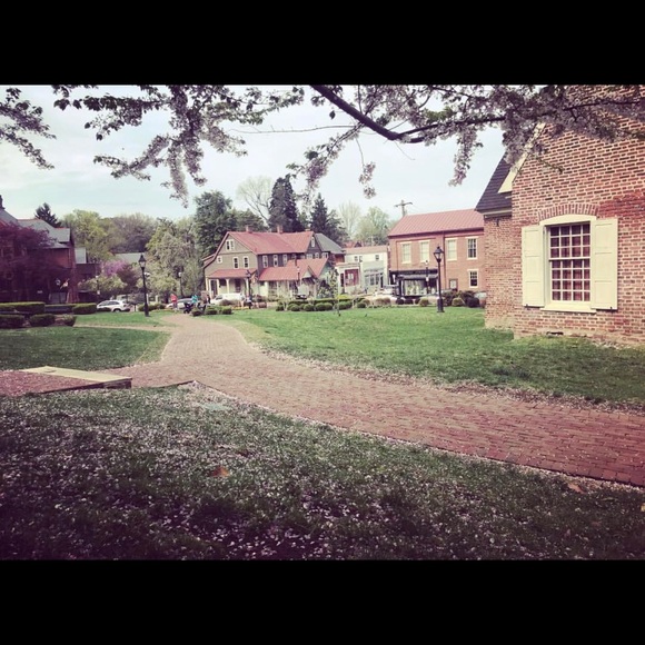 Meet your Posher, Katrina - Picture 4 of 8